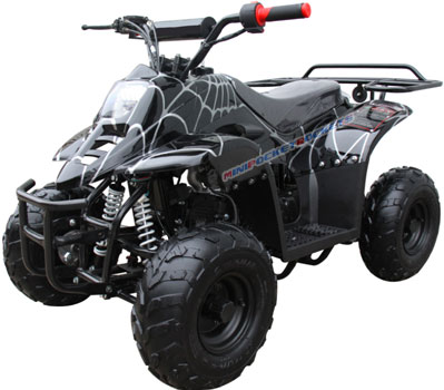 Discrimination go sightseeing Pastries Mini ATV - The Apache All Terrain Vehicle in 110cc or 70cc models